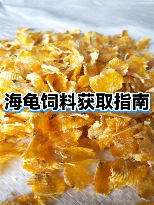 我的世界如何获得海龟冒缩略图