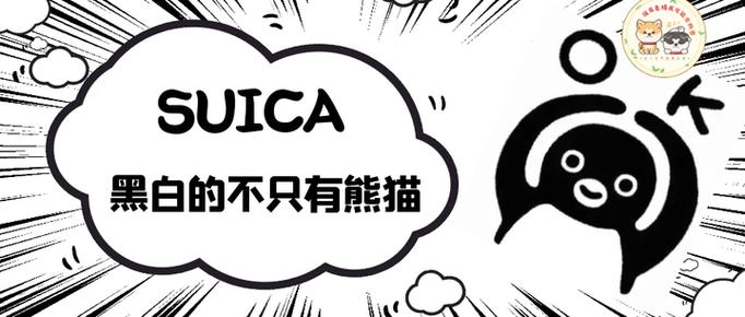 企鹅暗号是什么意思游戏截图