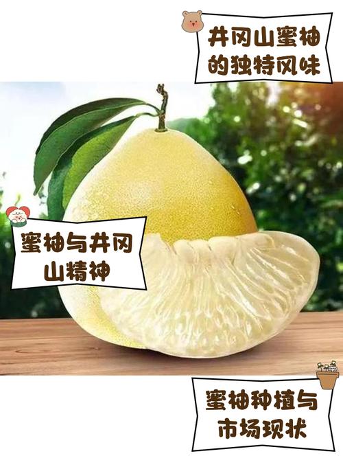 蜜柚最新版v126图标