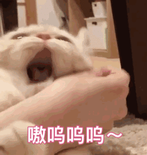 如果被猫咪轻轻的咬了一下