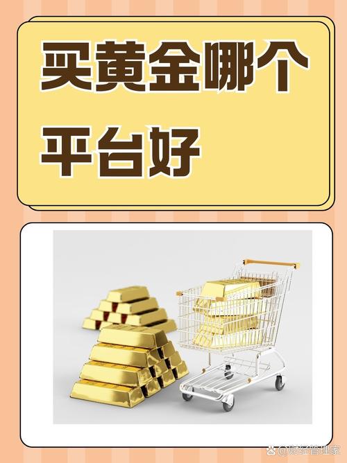 小金矿赚钱平台缩略图