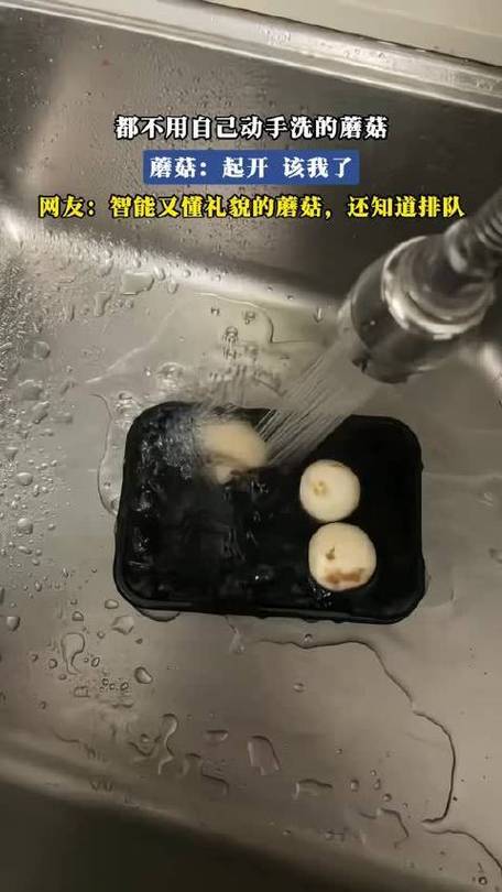 口蘑内部一圈黑毛怎么处理