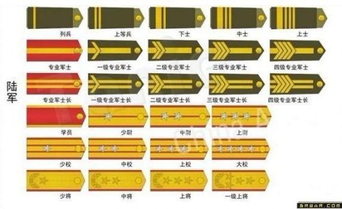 义务兵军衔游戏截图
