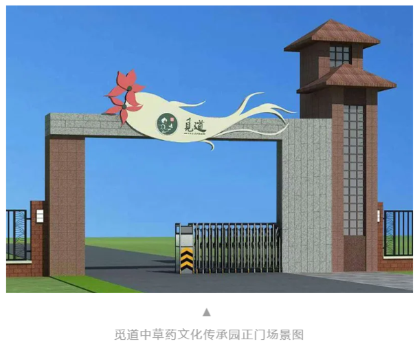 京药采官方APP下载地址游戏截图