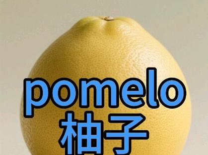 柚子英语pomelo缩略图