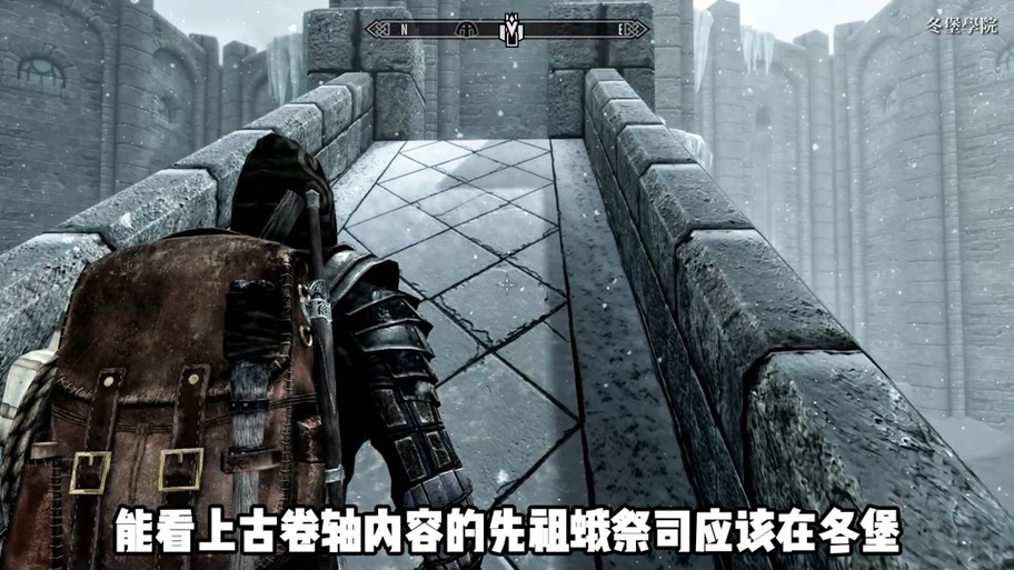 老滚5解除随从数量限制缩略图