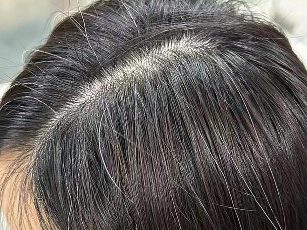 白发图片100张图标