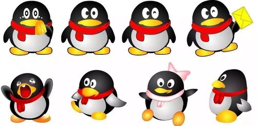 2018年QQ旧版本缩略图