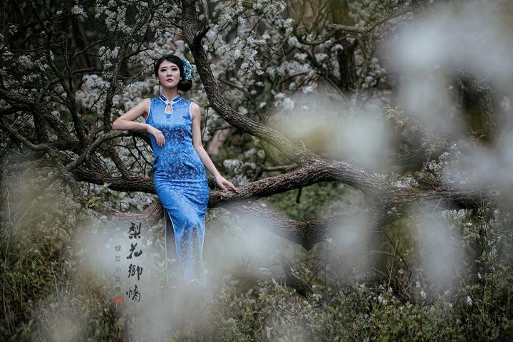 梨花村孽缘情全文免费阅读游戏截图