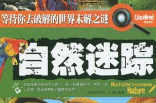 吾爱破解论坛缩略图