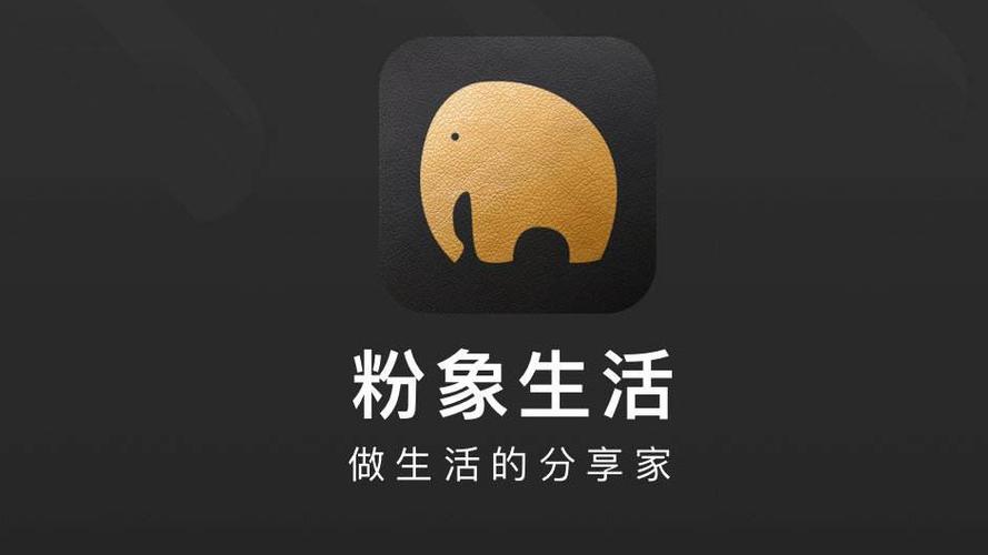 高佣和粉象游戏截图