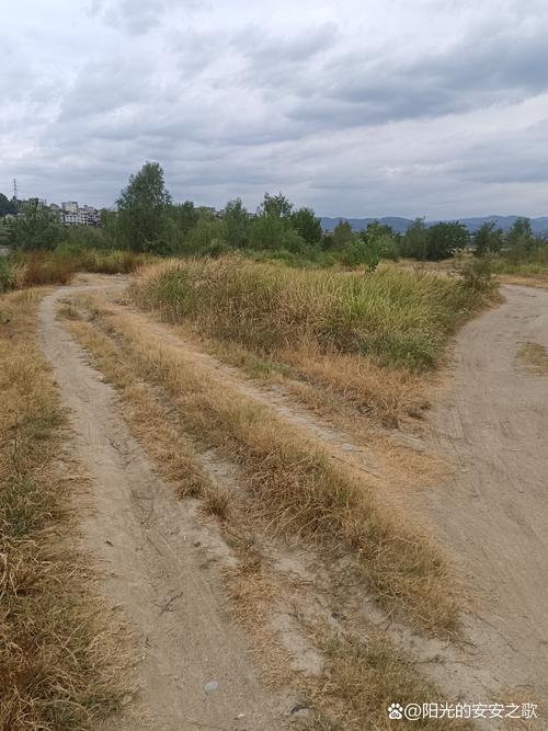 荒野行动开挂辅助器免费缩略图