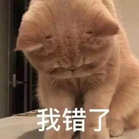 女生道歉用的表情图片图标