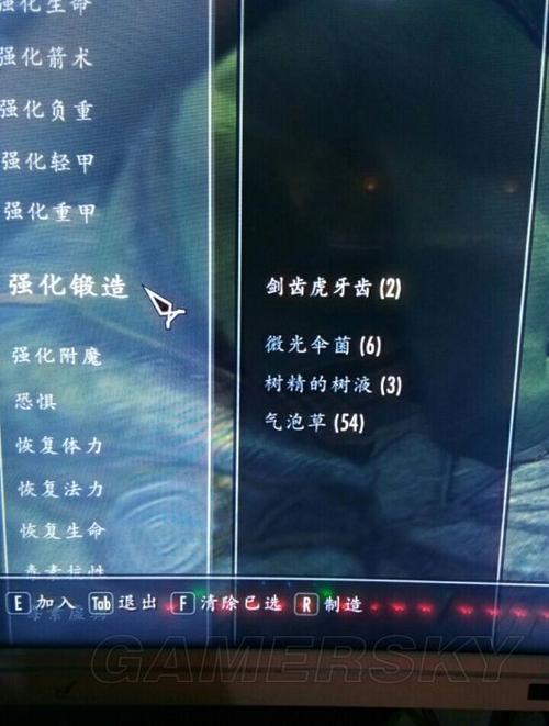 上古卷轴5锻造强化药水配方