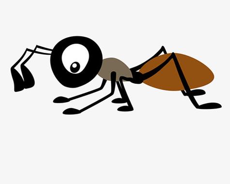 ANT