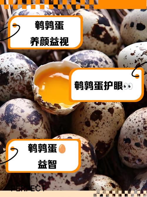 鹌鹑蛋补精子吗