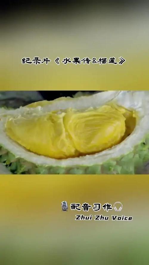 央视纪录片《水果传》免费观看