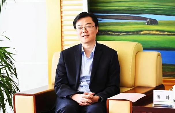 辽宁省农业银行潘峰简历介绍