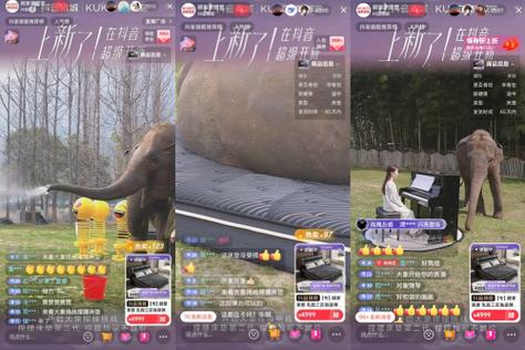 大象直播间现场直播缩略图