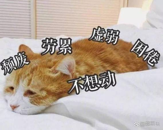 劳累的图片 表情包缩略图