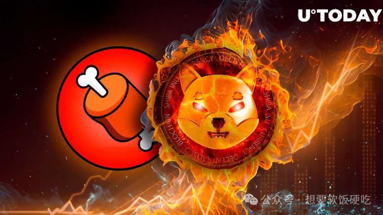 SHIB最新动态缩略图