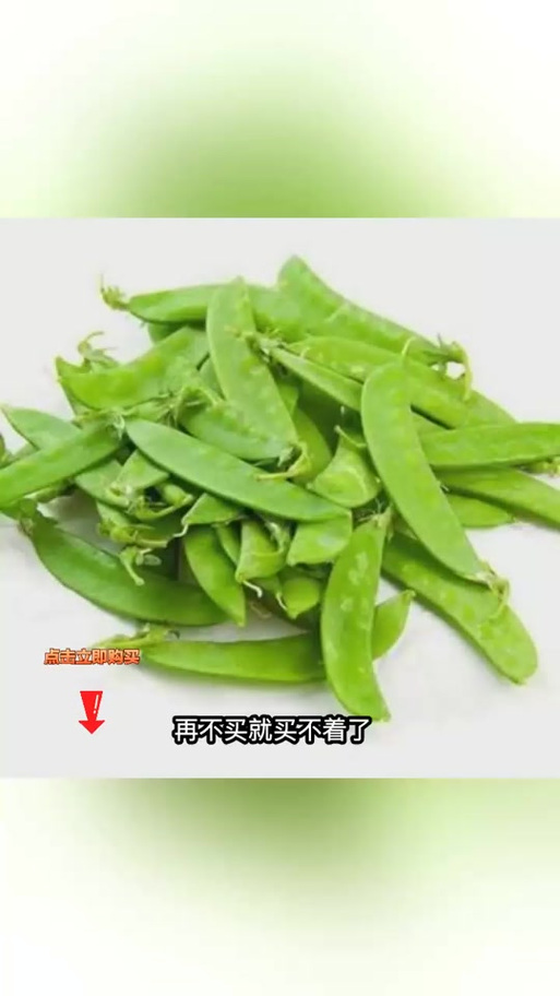 豌豆荚2024缩略图
