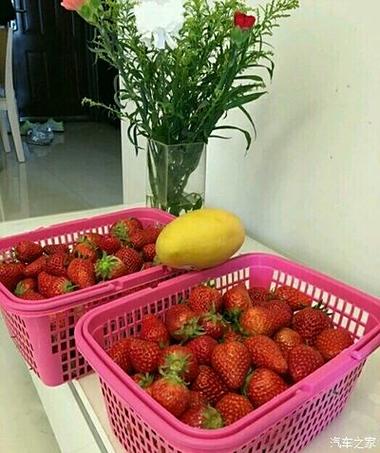 小白农场辅助软件缩略图