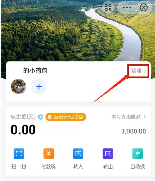支付宝限额怎么提升到20万缩略图