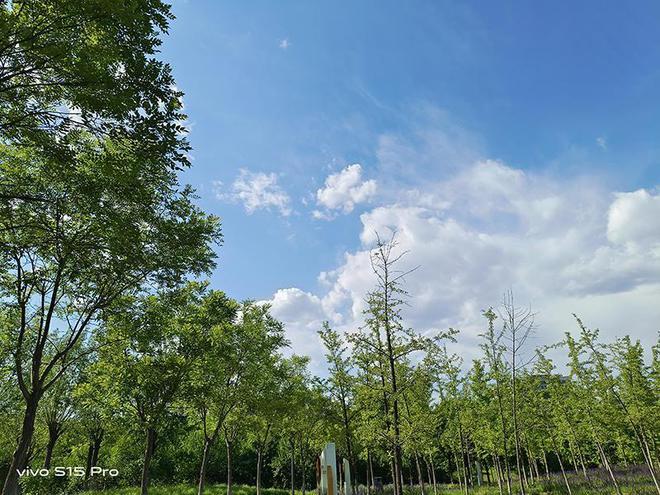 苹果手机用微信拍照很模糊