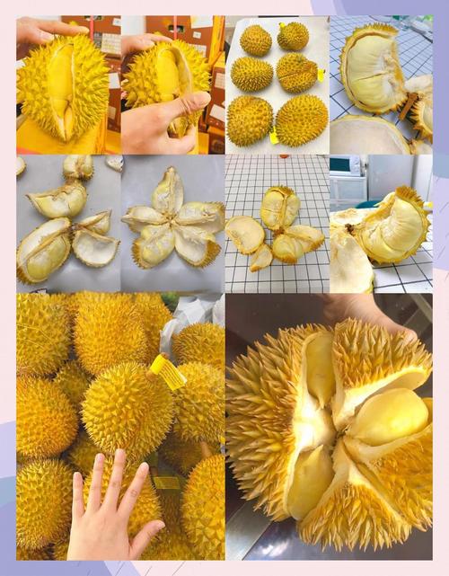 吃榴莲的朋友圈幽默说说缩略图