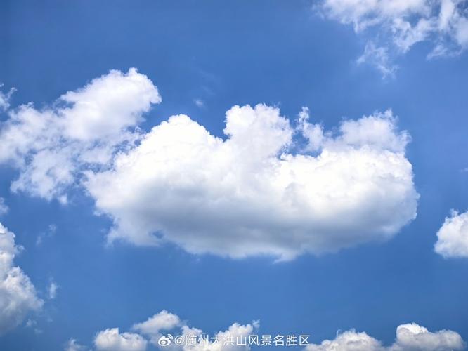 视频会议软件推荐缩略图