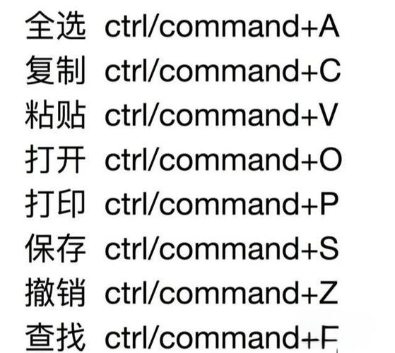苹果主屏幕快捷按钮怎么设置