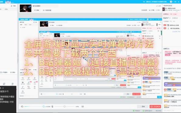 全屏游戏看不到弹幕姬游戏截图