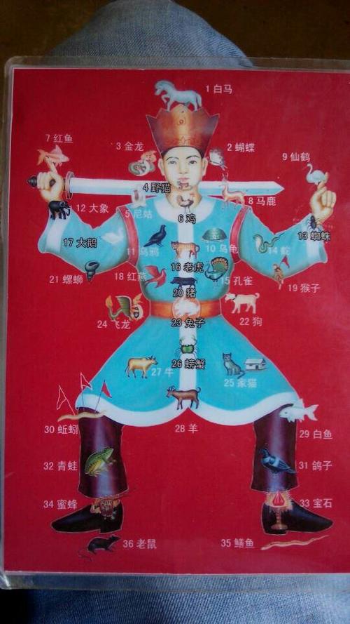 36字花一打一准确动物图标