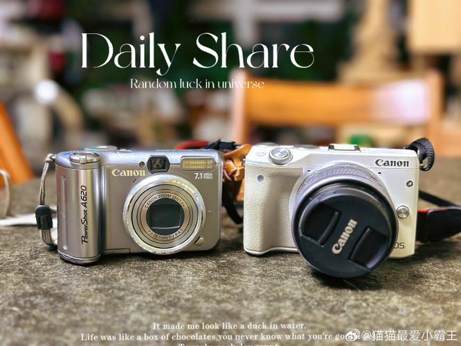 佳能a620参数游戏截图