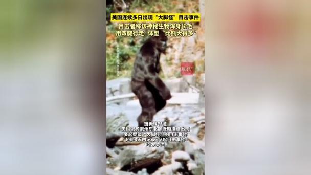 大脚显示怪生命数字