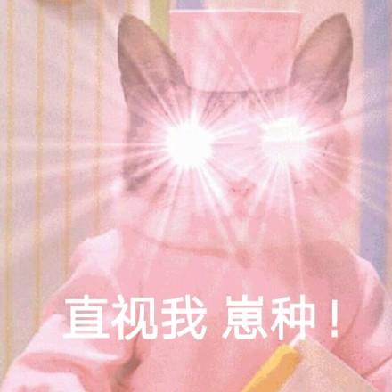 出来吧崽种表情包图标