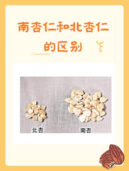 甜杏仁的副作用游戏截图