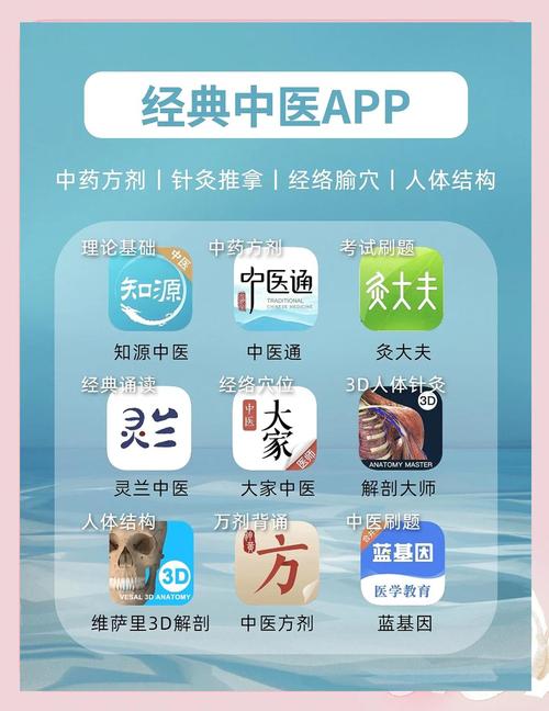 中华医典app游戏截图