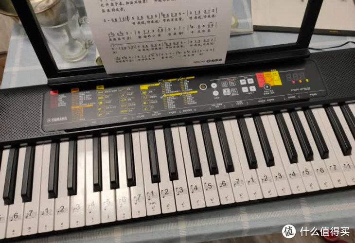新韵与永美电子琴区别