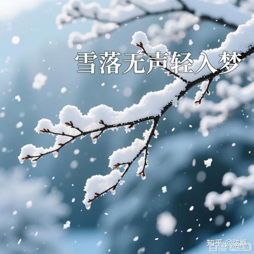 雪落下的声音周深无损