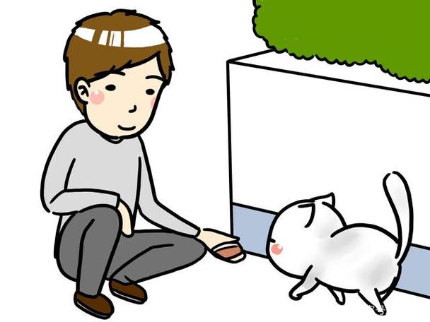 流浪猫漫画免费观看缩略图