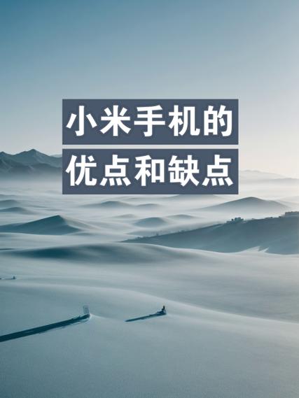 小米企业的优势和劣势缩略图