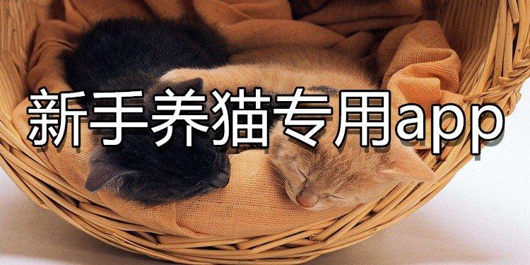饲料猫app下载图标