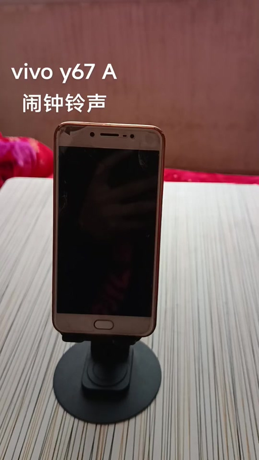 电话铃声有声音但抖音没声音游戏截图