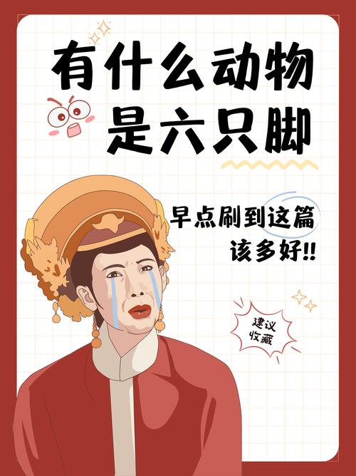 六只脚不显示结束怎么办