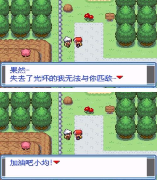口袋妖怪汉化破解版缩略图