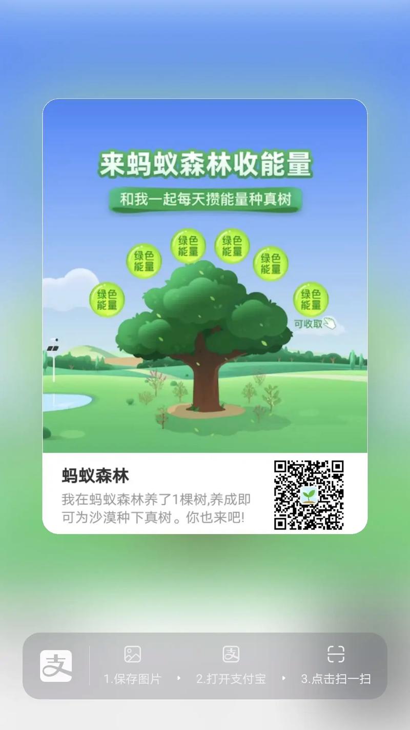 蚂蚁森林在哪种树缩略图