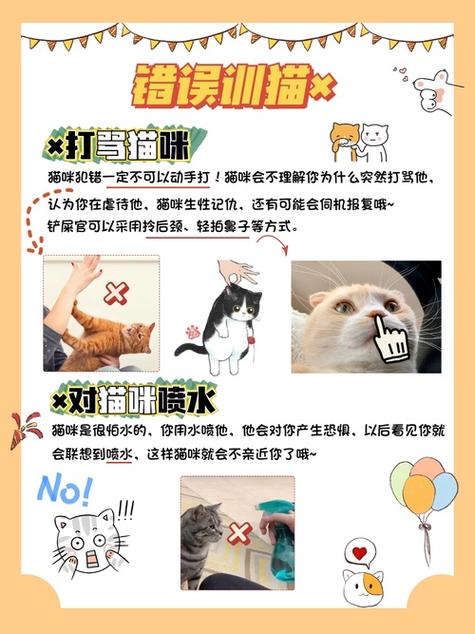 驯服野猫的注意事项图标