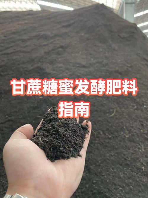 糖尿病蜂蜜图标